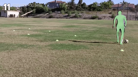In-Camera Mesh