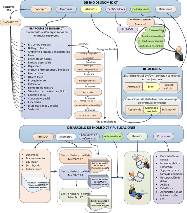 Estructura General Modelo Snomed-CT