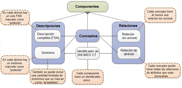 Estructura Lógica Snomed-CT