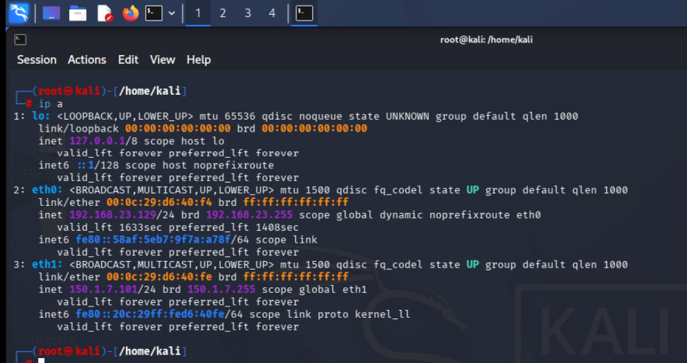 Kali ip a