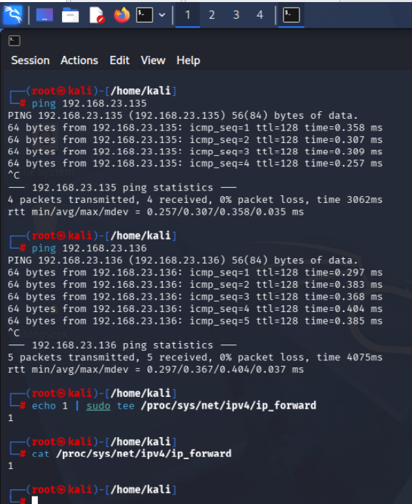 IP Forwarding