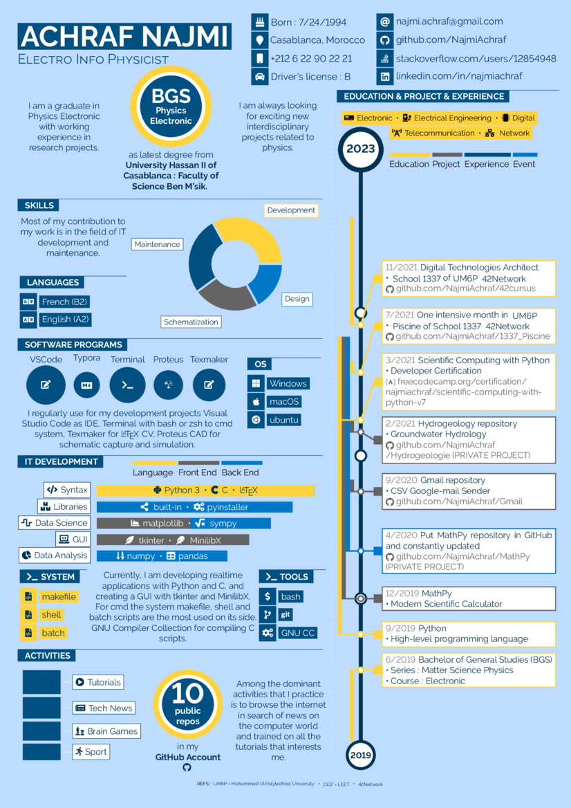 Infographics CV example preview