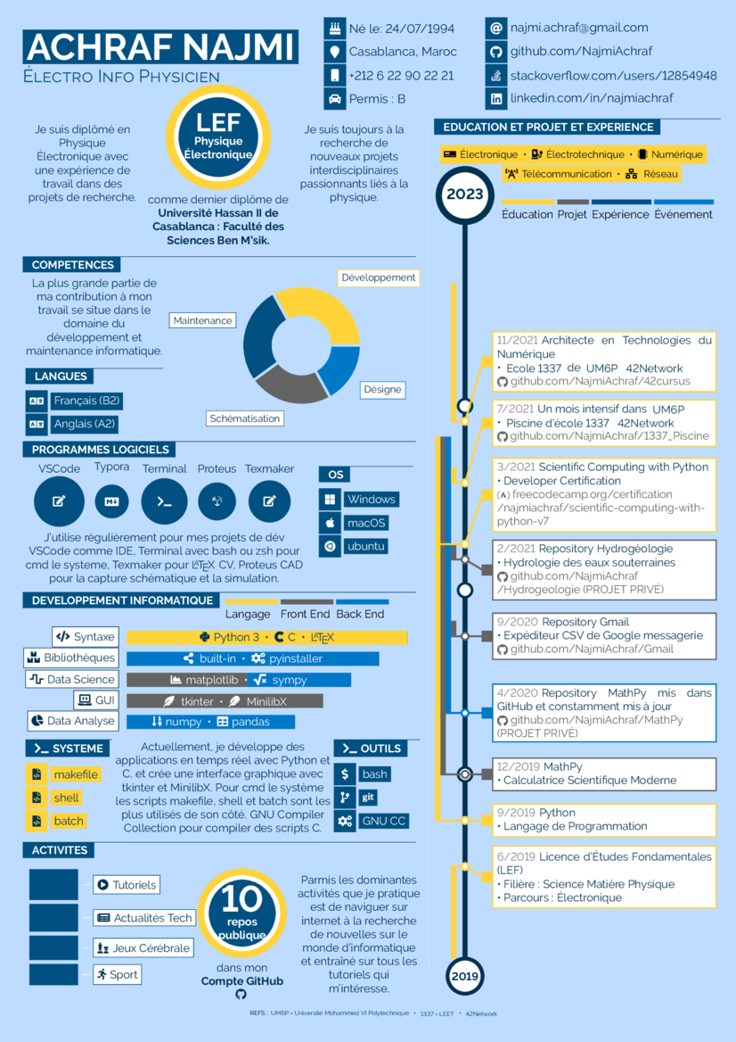 Infographics CV example preview