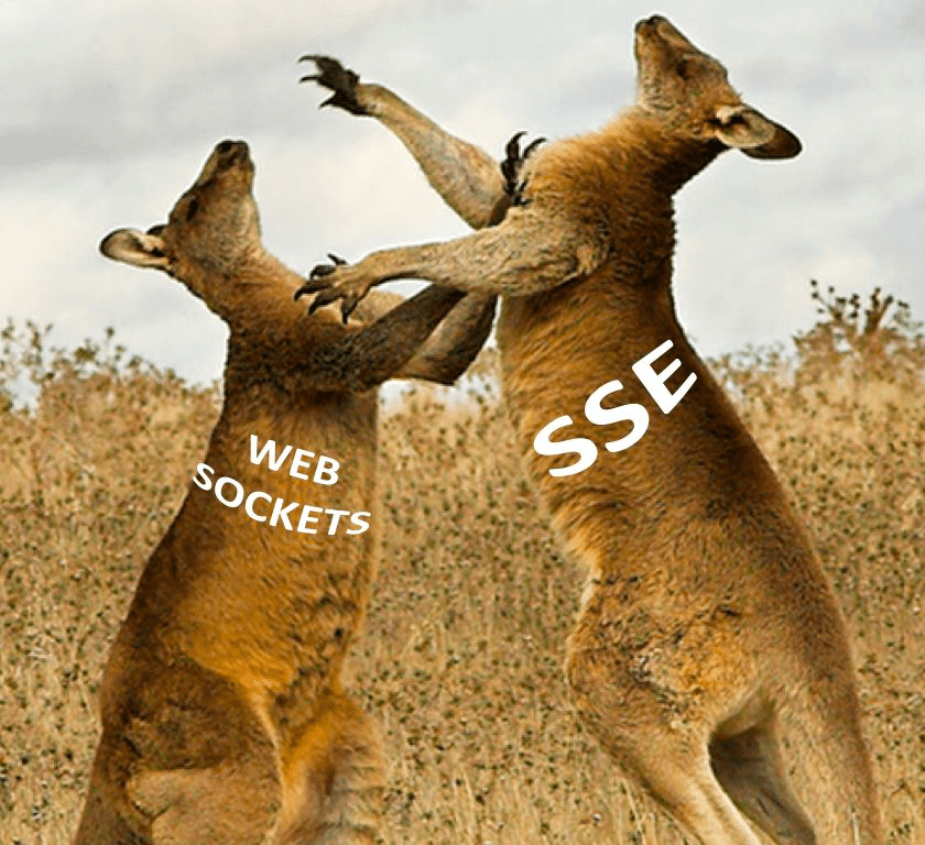 WebSocket and SSE