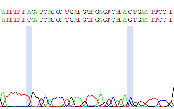 chromatogram