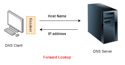 forward lookup