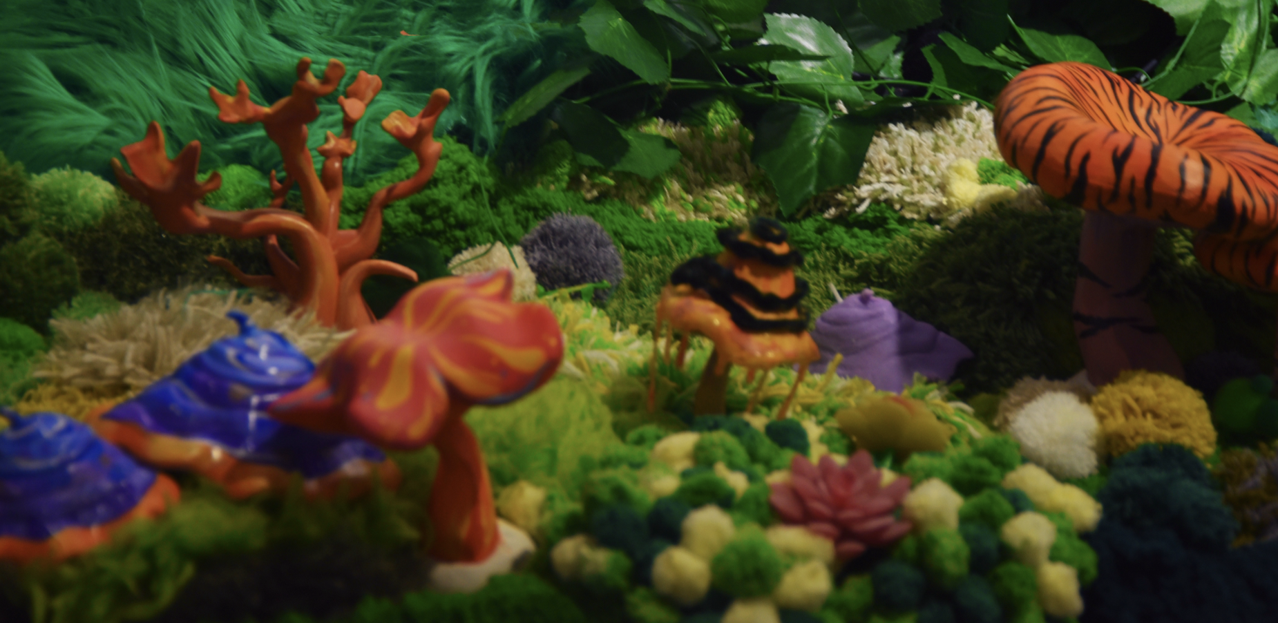 Mushrooms and the Cycle of Life