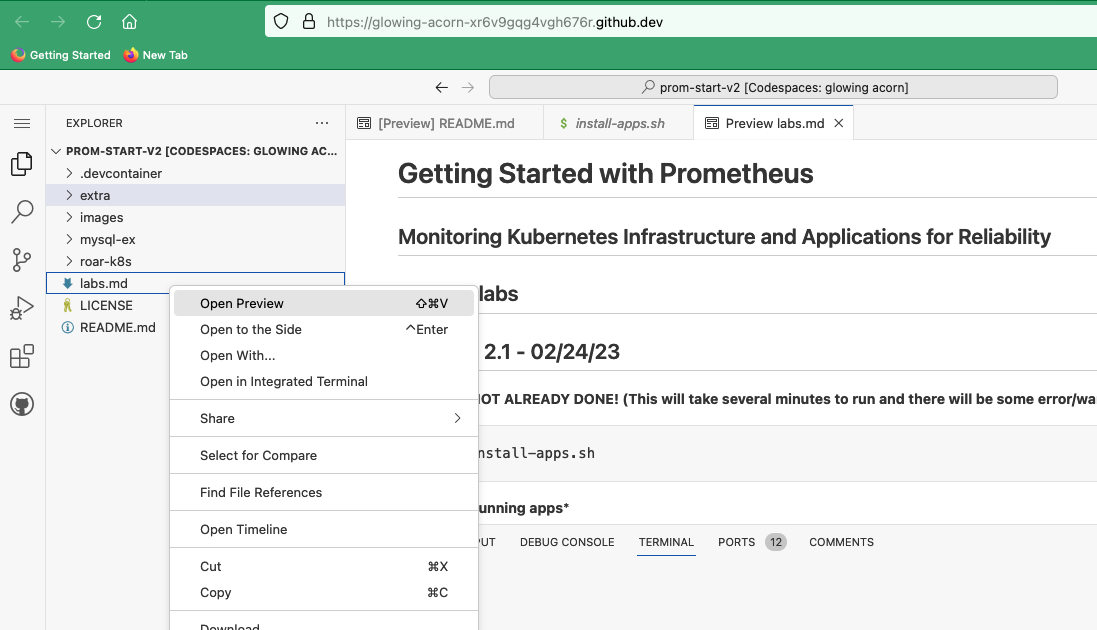 Labs doc preview in codespace