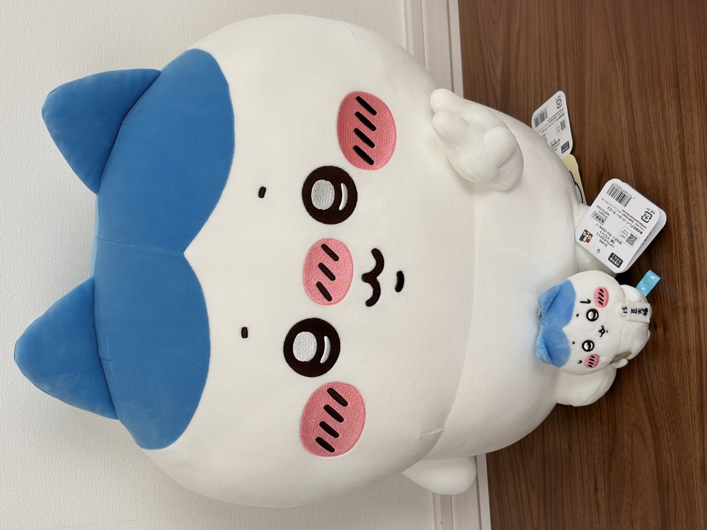 ハチワレだらけくじの戦利品。A賞の大きなハチワレのぬいぐるみと、「豆大福」の前掛けを付けた小さなハチワレのマスコットを並べた写真