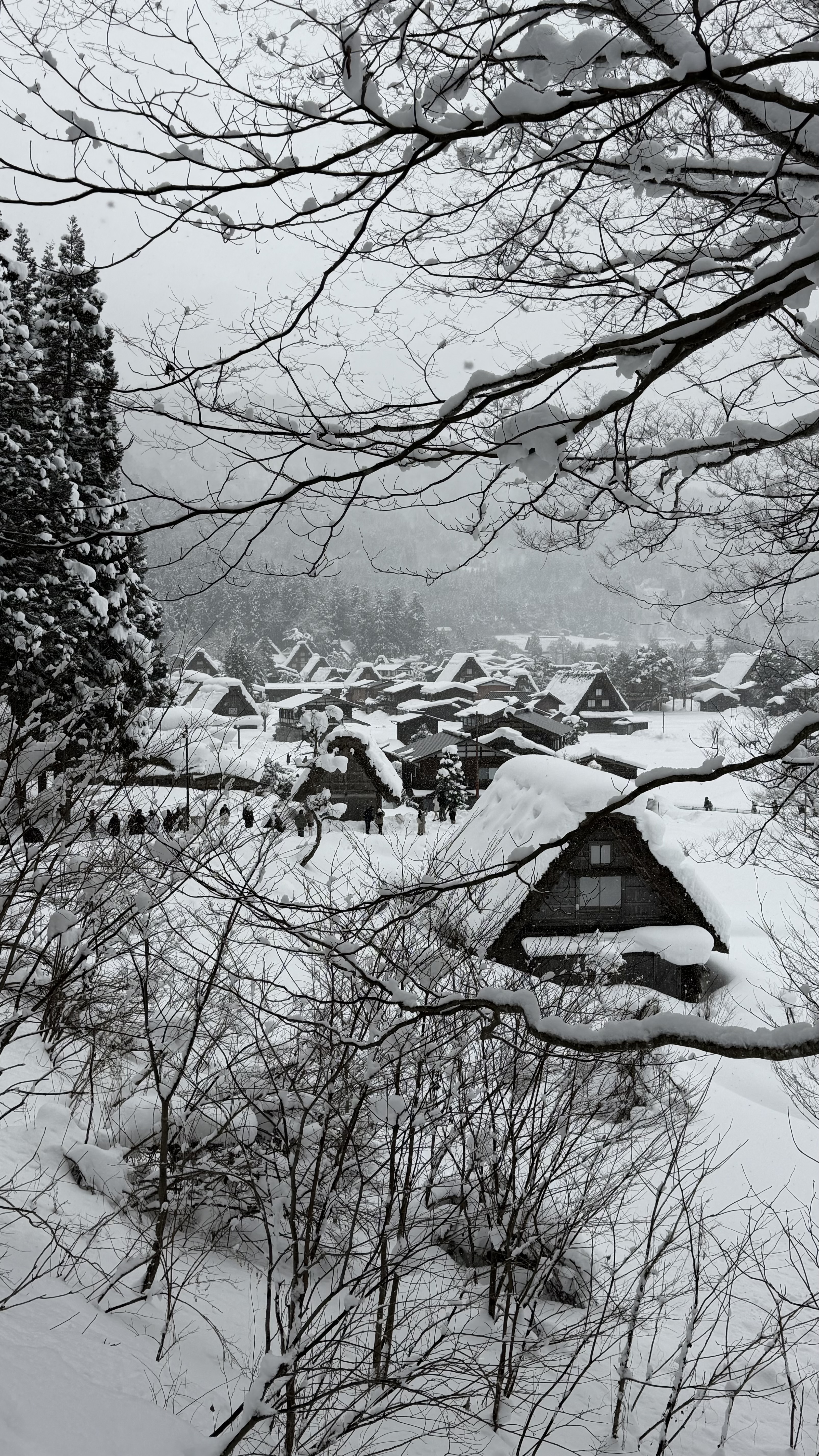Private Tour Japan 2