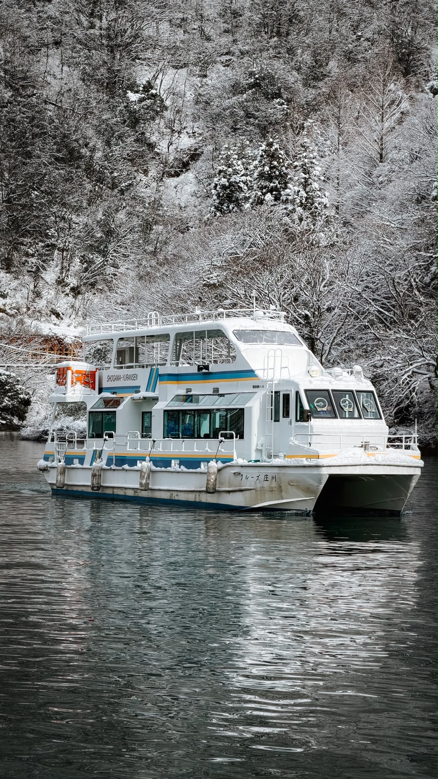 Winter Trip
