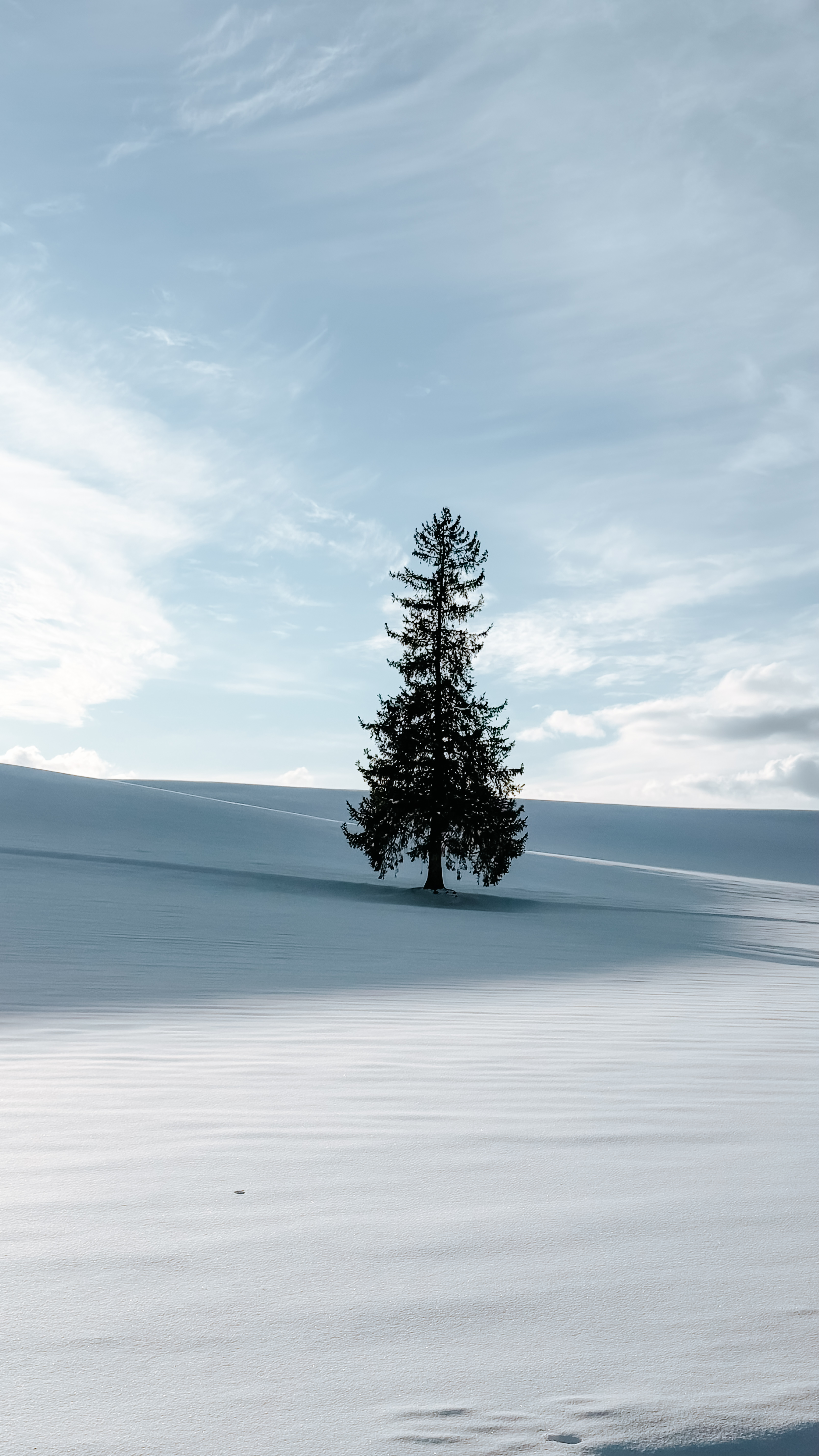 Hokkaido Winter