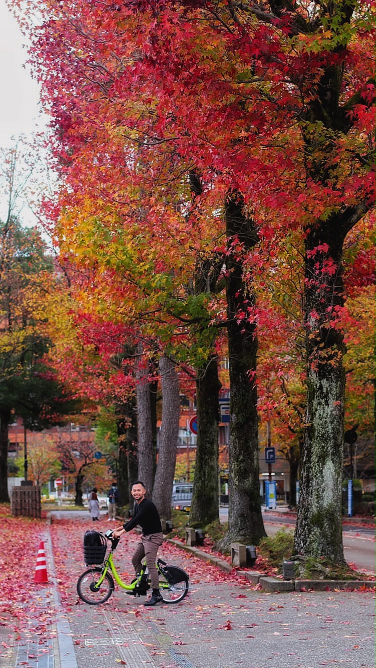 Autumn Japan