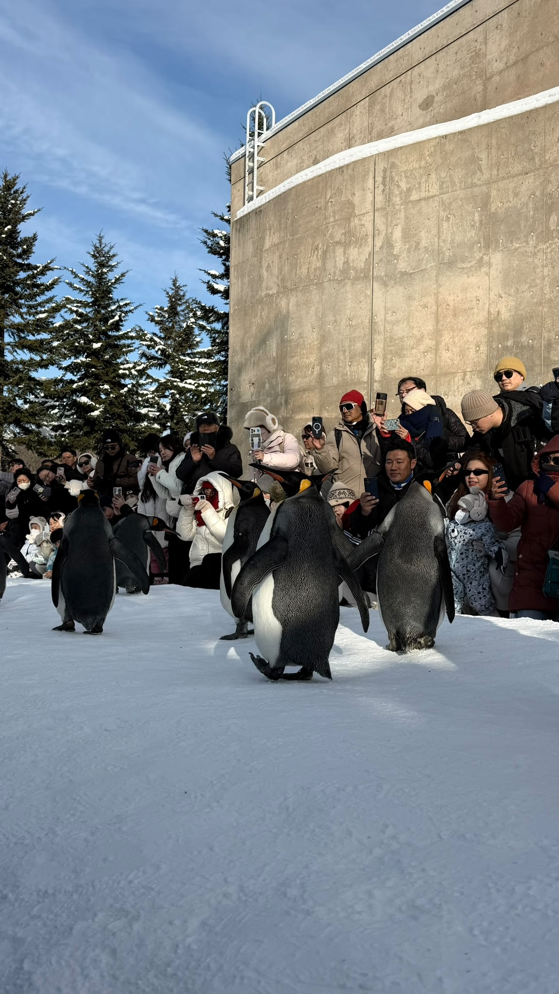 Asahiyama Zoo