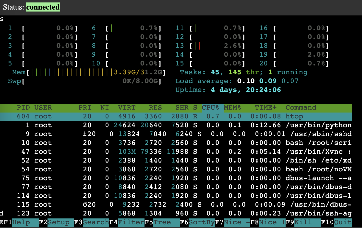 web-terminal