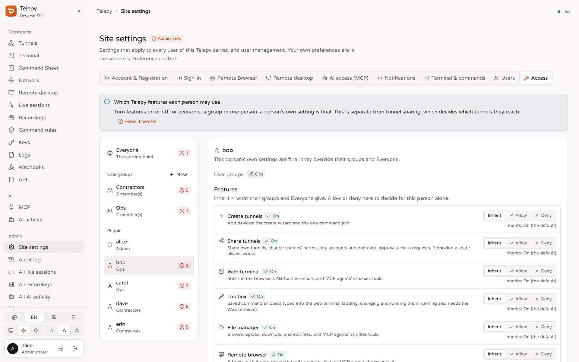 Feature permissions