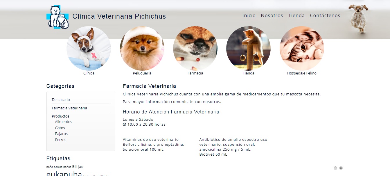 pichichus