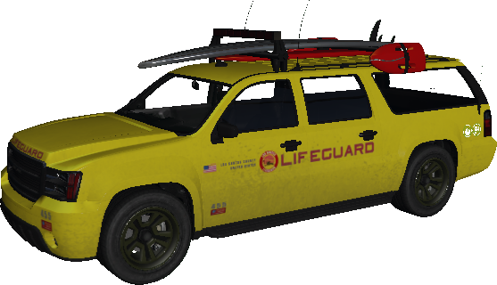 Lifeguard Contender