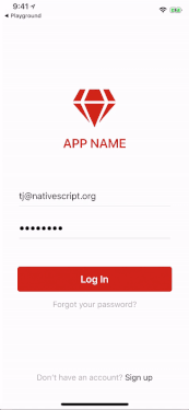 Building a Good-Looking Login Form