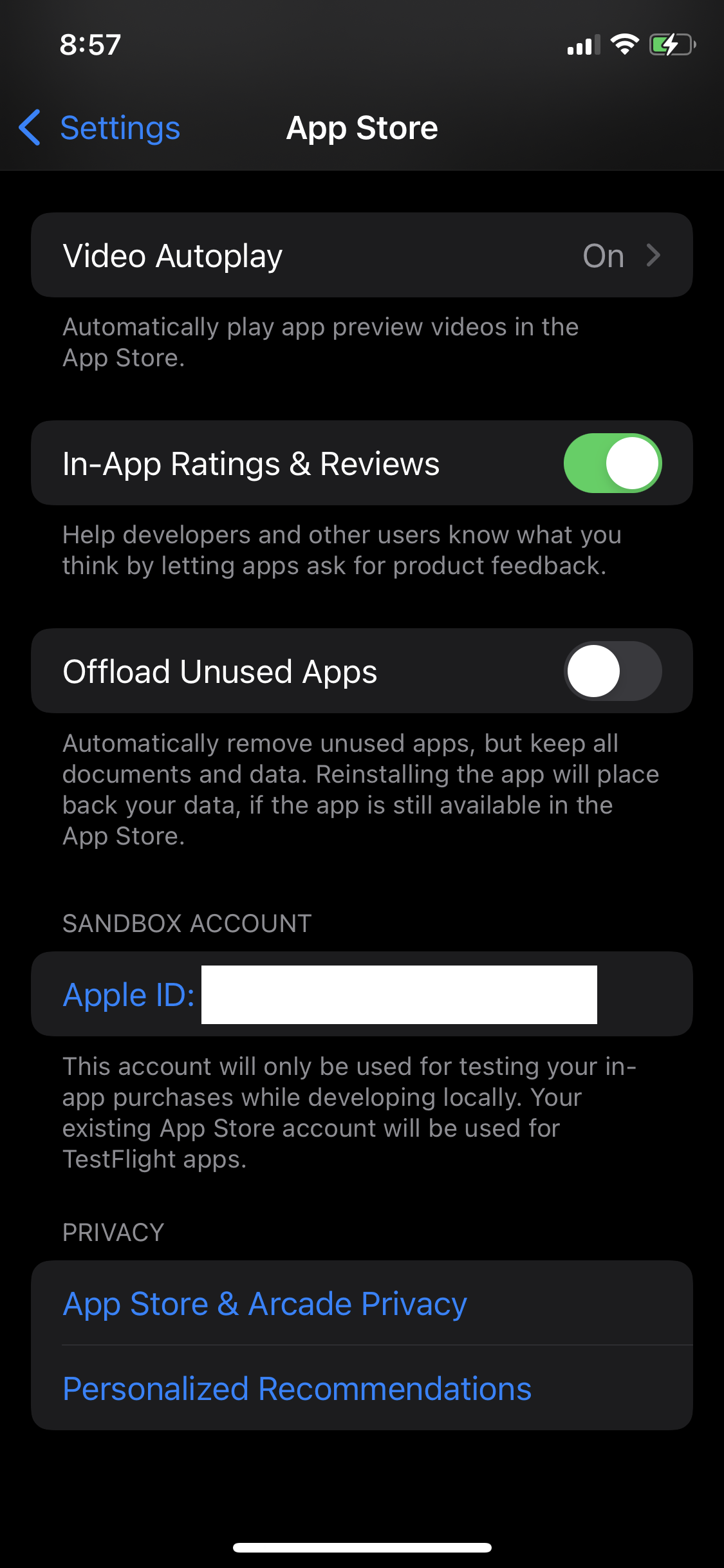 Sandbox Tester on iPhone