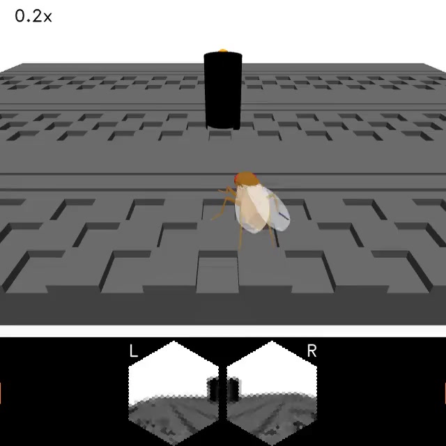 Multimodal navigation