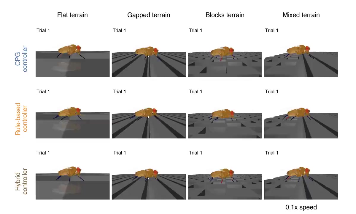 Controller comparison