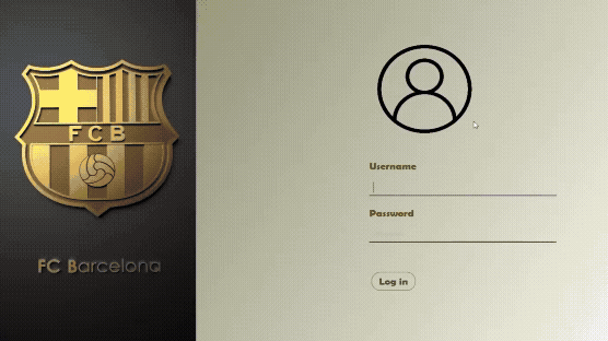 Football Club Management System