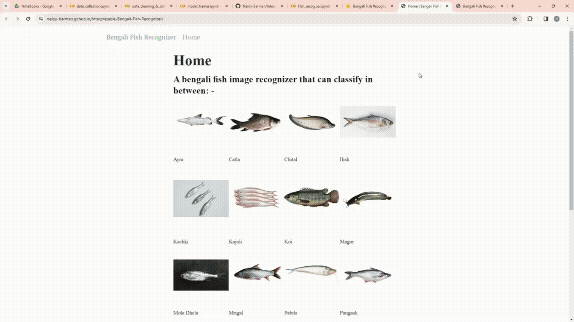 Interpretable Fish Recognizer