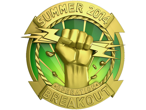 Золотая монета операции «Прорыв»