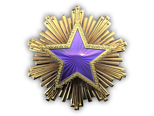 Медаль за службу в 2016 году