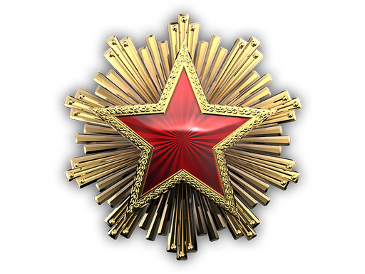 Медаль за службу в 2016 году