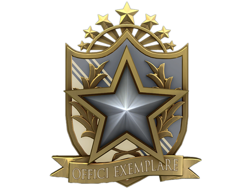 Медаль за службу в 2022 году