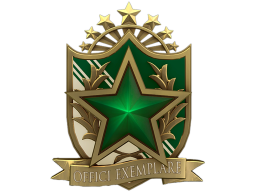 Медаль за службу в 2022 году