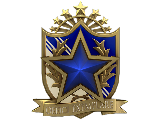 Медаль за службу в 2022 году