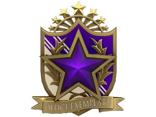 Медаль за службу в 2022 году