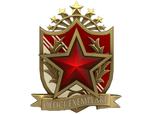 Медаль за службу в 2022 году