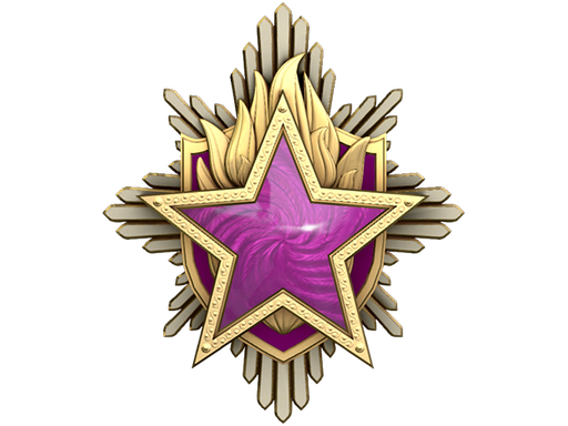 Медаль за службу в 2023 году