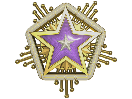 Медаль за службу в 2024 году