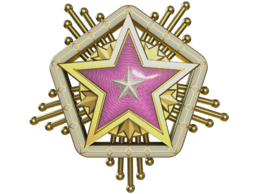 Медаль за службу в 2024 году