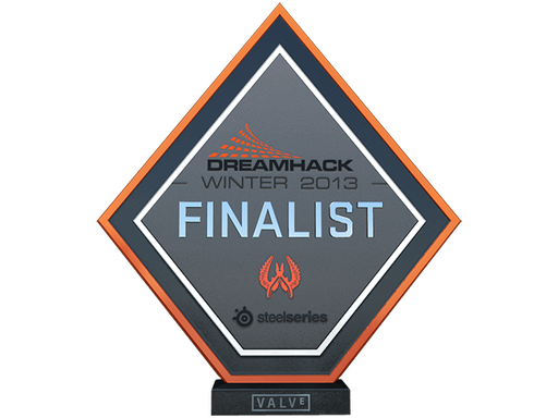 Финалист DreamHack 2013