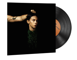 Набор музыки | PVRIS — Evergreen