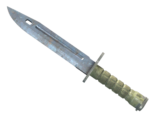★ Bayonet | Rust Coat