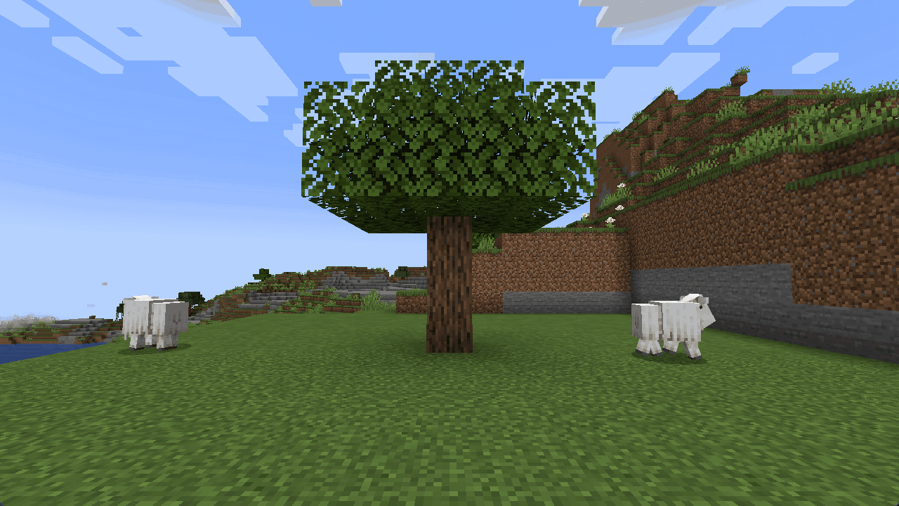 Two goats charge the same oak and knock apples loose