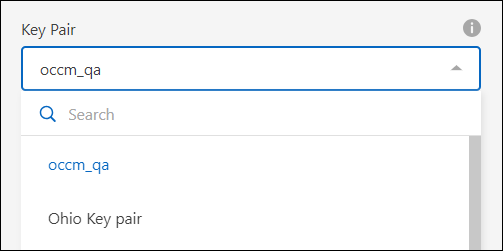 A screenshot of the search option in the Key Pair field which appears on the Network page when creating a Connector in AWS from BlueXP.