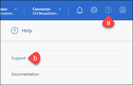 帮助菜单的屏幕截图，其中支持是第一个选项