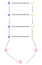 Structure Example