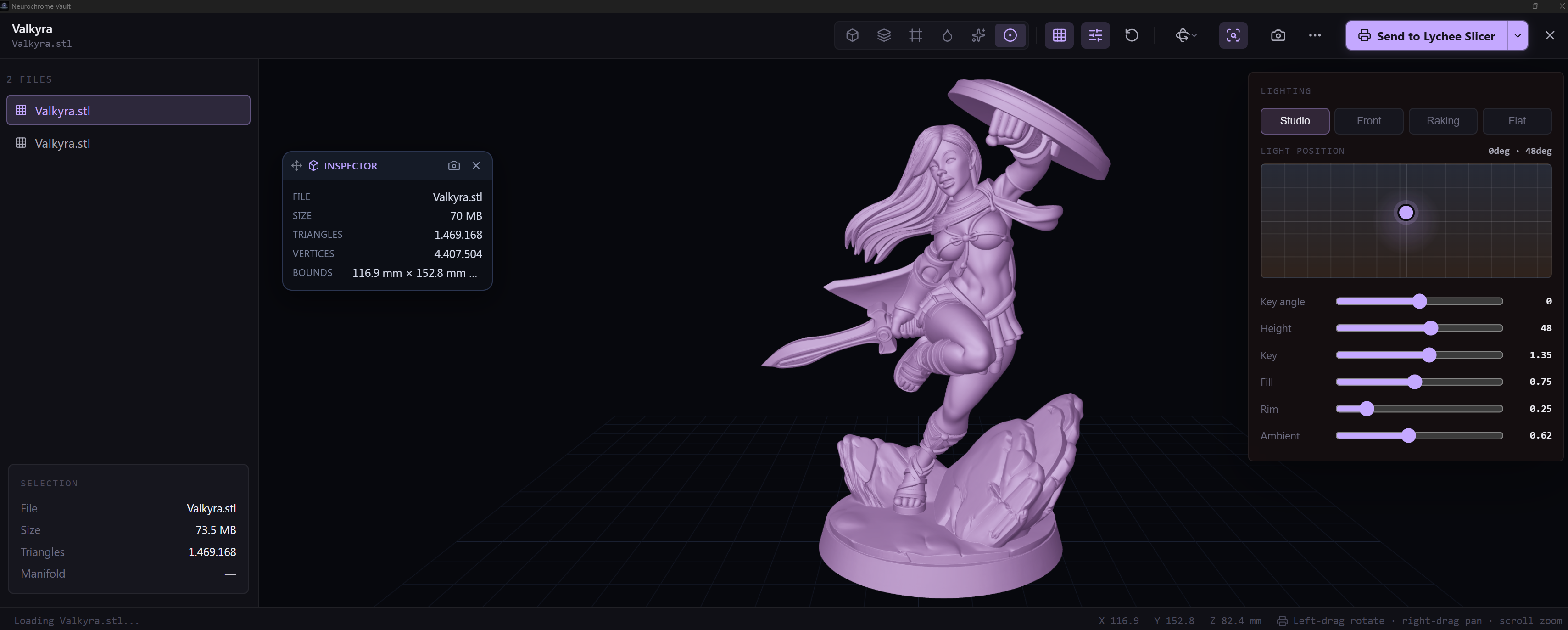 Neurochrome Vault Full 3D Viewer with Lighting Controls and Mesh Inspector