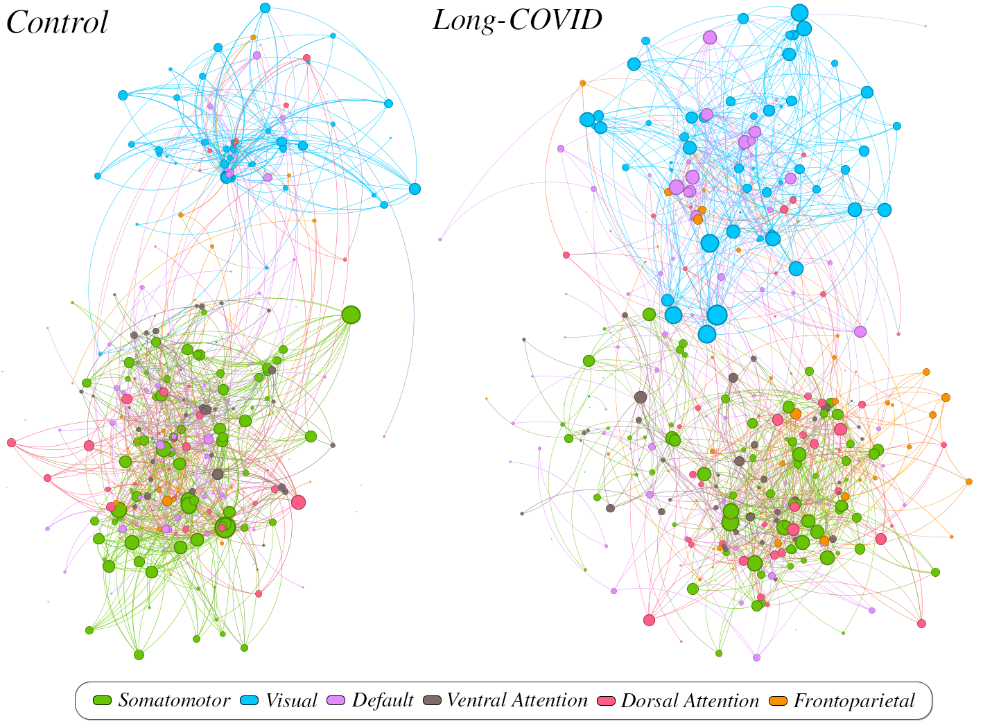 Mean global networks at 40% threshold