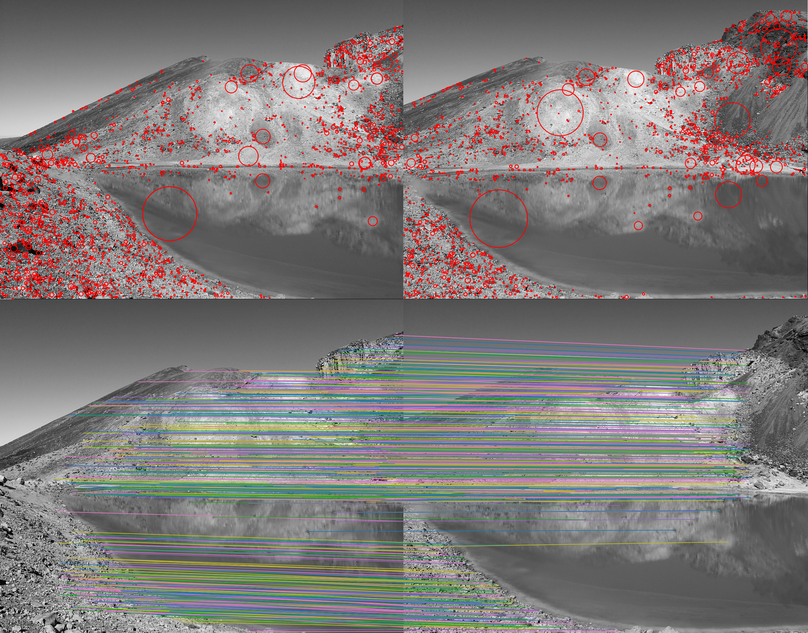 The iltered output of our normalized cross correlation descriptor matching, lines are parrallel as would be intuitively expected for a pair of images suitable for a landscape panorama.