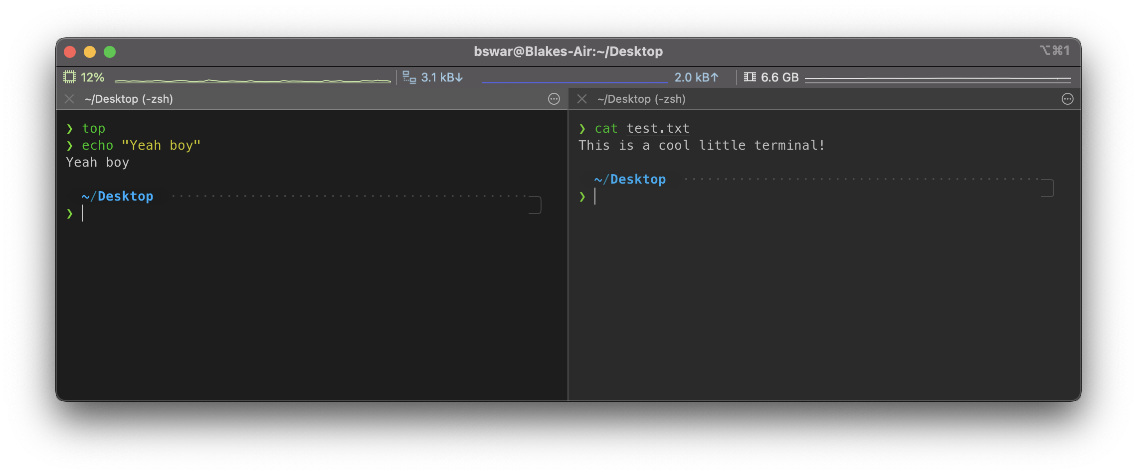 A window showing the iTerm terminal, with 2 panes, split vertically. The first pane shows the "top" command being executed, along with "echo 'Yeah boy'". The second pane shows "cat test.txt" being executed, the output being "This is a cool little terminal!".